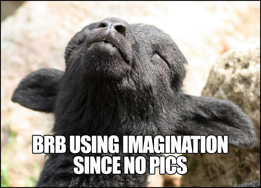 brb-using-imagination-since-no-pics.png