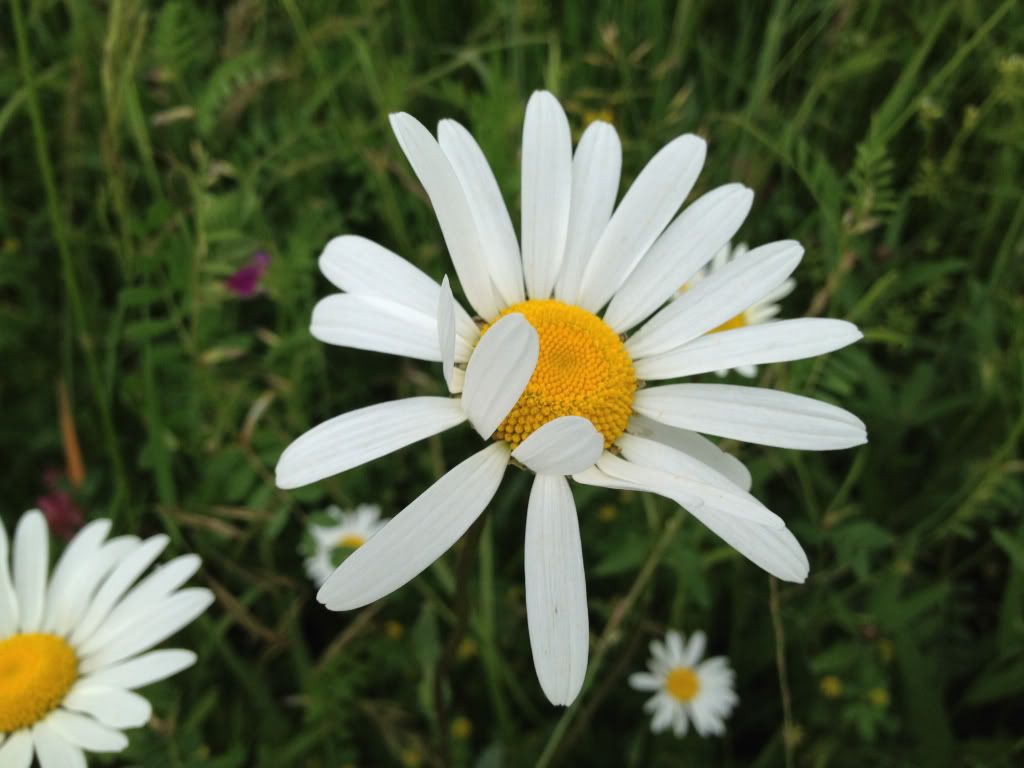 7f5f4204.jpg