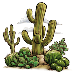  photo Cactus.png