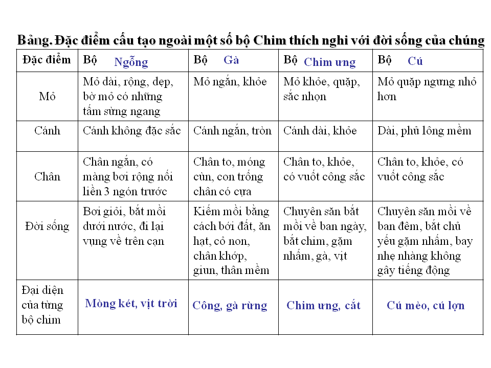 dacangvadacdiemchungcualopchim1.png