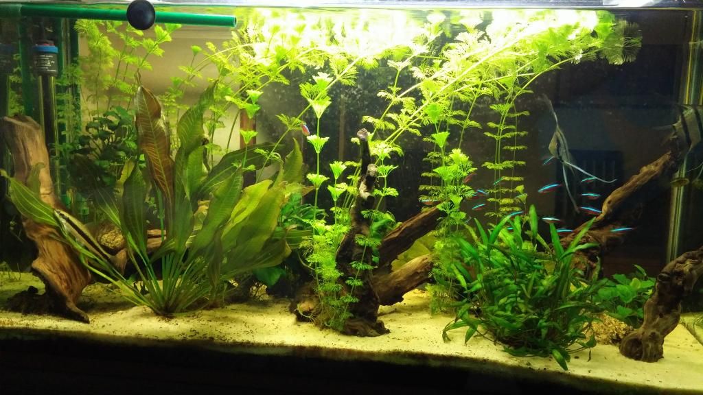 20140904_0011211.jpg
