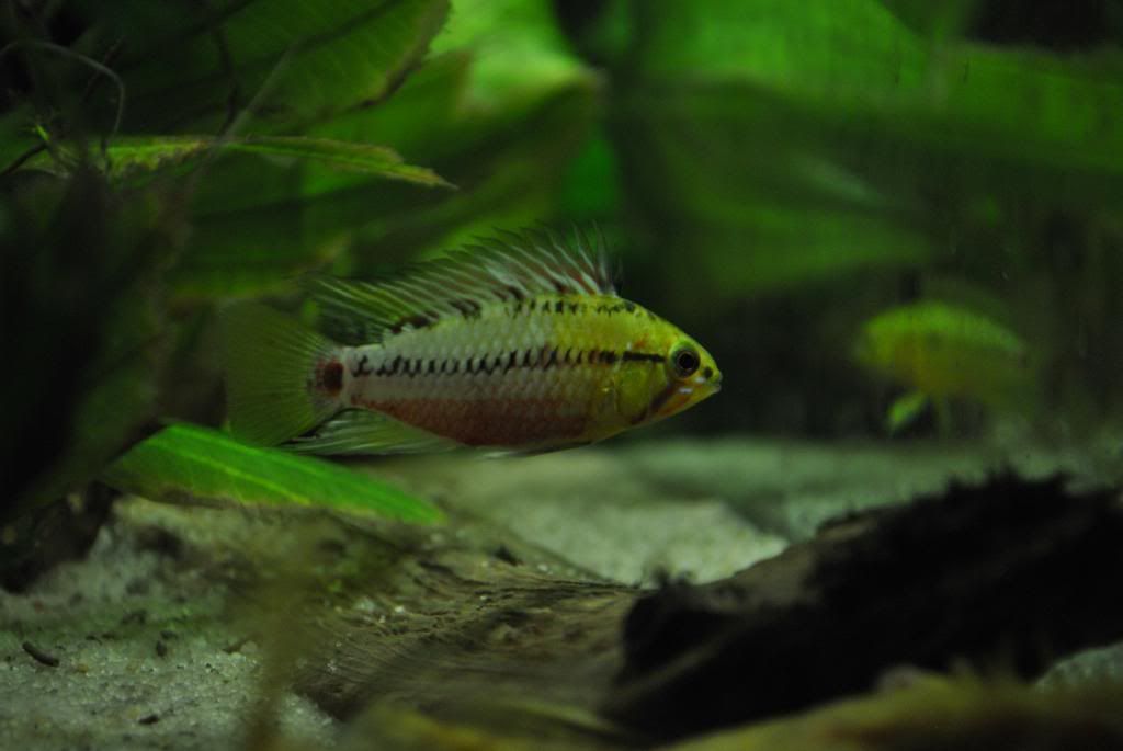 DSC_0296.jpg
