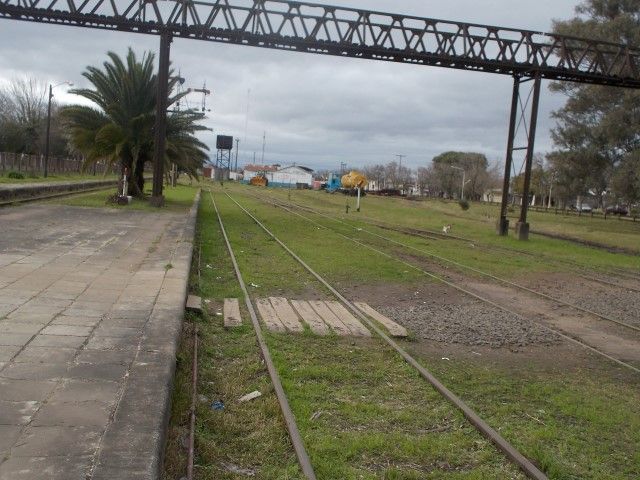 Imagen