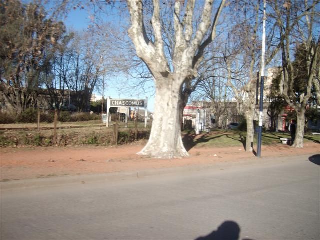 Imagen