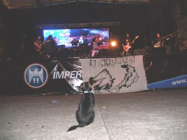 Imagen