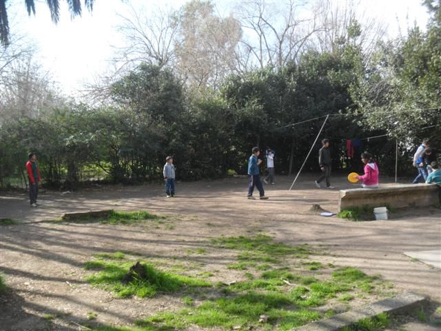 Imagen