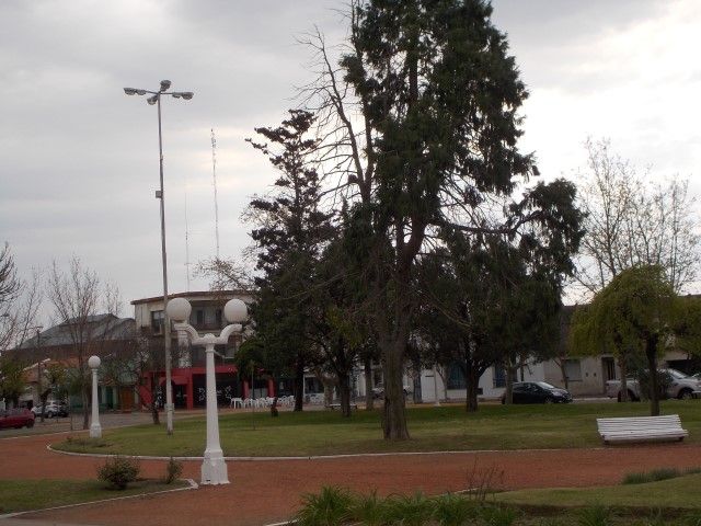 Imagen