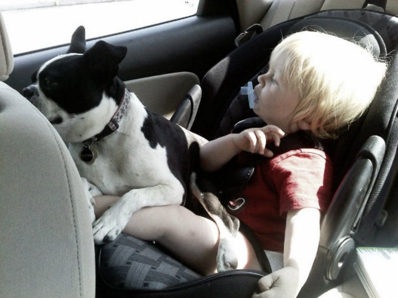 Rockie and Jace in the car