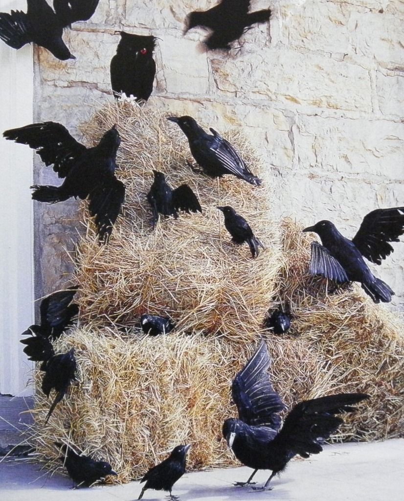 sinister-terrific-flock