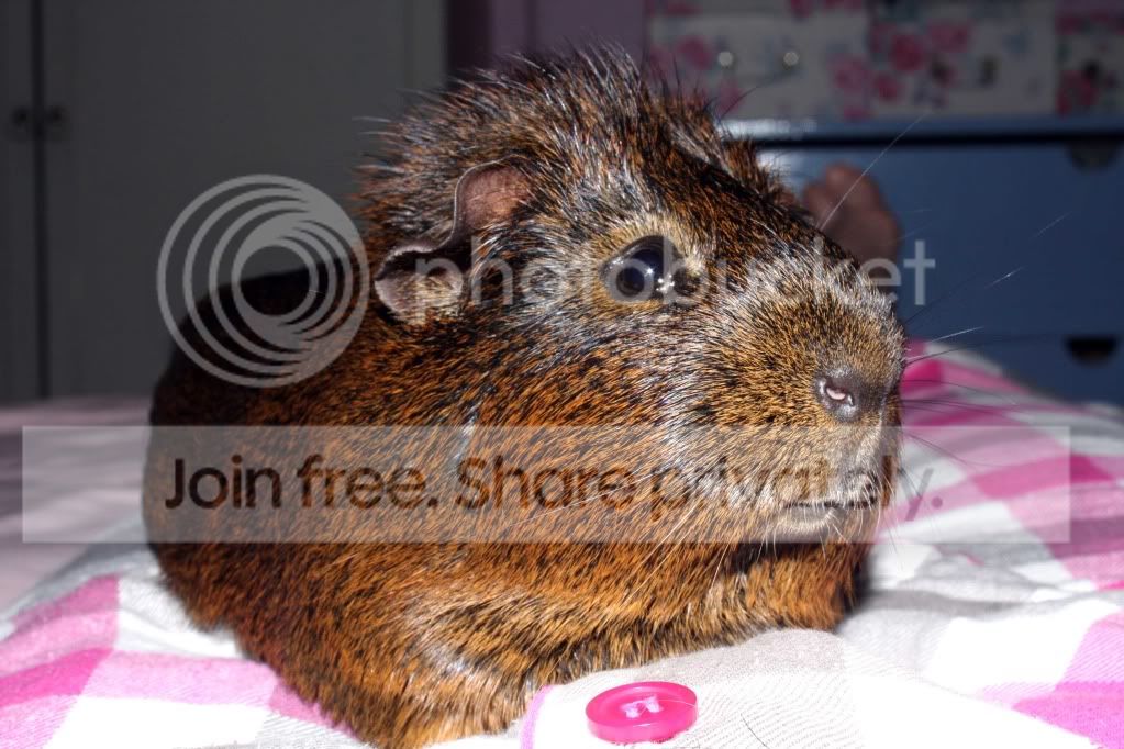 Clive.jpg